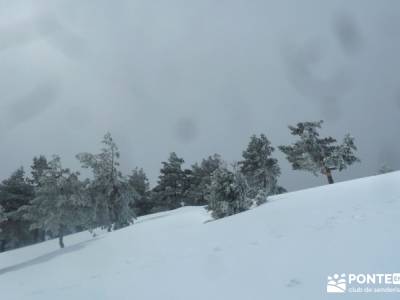 Raquetas de Nieve - Puerto de Cotos; senderismo trekking; montañismo; nieve madrid;turismo de sende